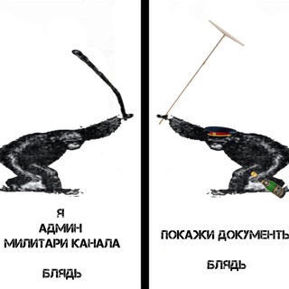 Чешир таежный и дело о пропавшем 28-м штате