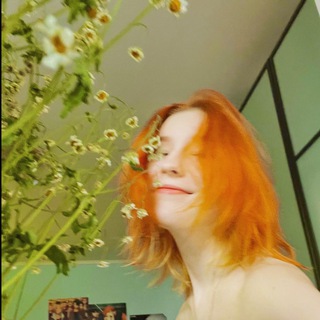 сасок в деле