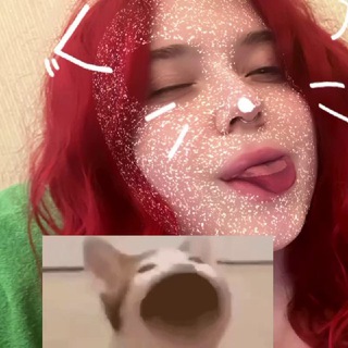 моё болото 🦭