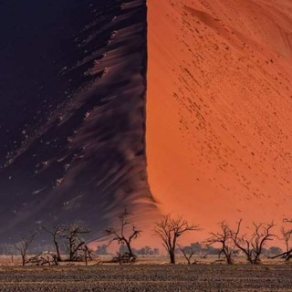 Между Сциллой и Харибдой