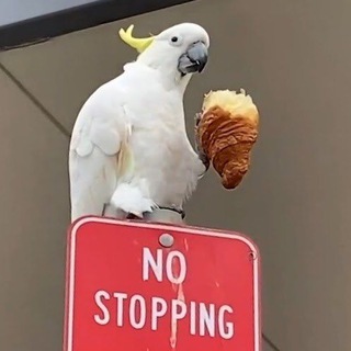 Шутки, от которых я рад