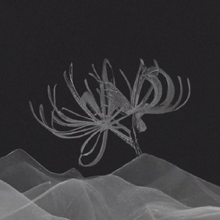 осока олеговна