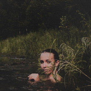 сумеречный зимний лес