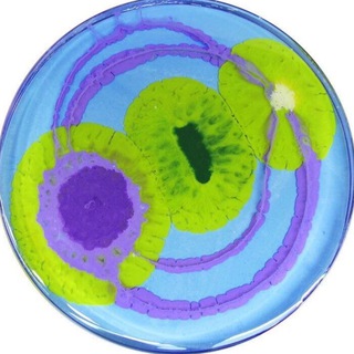 𝔰𝔥𝔦𝔥𝔦𝔤𝔞𝔪𝔦