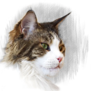 Нескучный Деська&Co