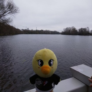 жизнь ббокари