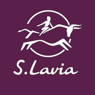 S.Lavia Сумки и аксессуары