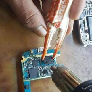 А ещё я выгуливаю собак