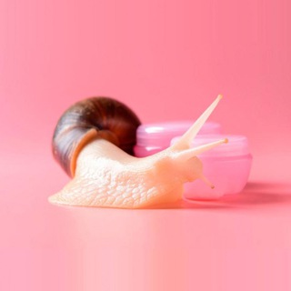 УЛИТКИ И ЭЛИТКИ