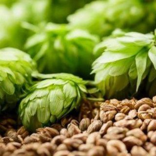 Дневник зельевара 🍻