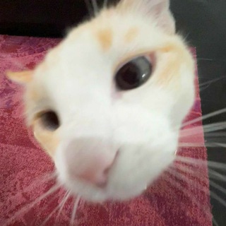 подгоны для вас 🙇🏻‍♀