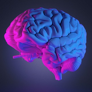 Из мрака выплывет рассвет