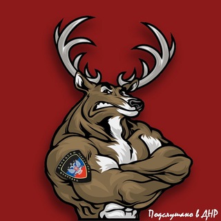 Подслушано ДНР ЛНР 18+