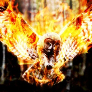 Поэзия мысли 📝