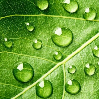 Погода в Краснодаре