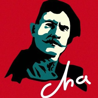 Политота: кровавый цирк