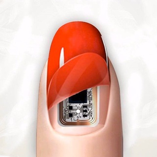 ПОЛИТСКВИРТ