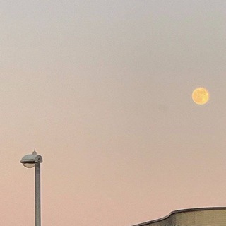 седьмое сентября.