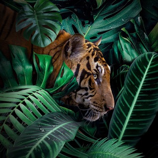 По просторам Земли🌎