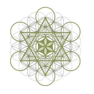 🕊️✨ Портал Единства 369 🕊️✨ Канал Академии Осознанного Созидания