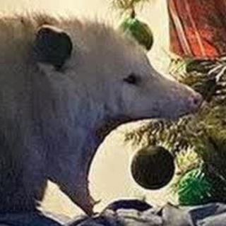 Шапка из опоссума