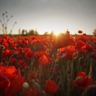 Психотравма війни | Блог психолога Тетяни Станіславської