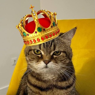 Меховая Картошечка