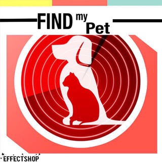 ПОТЕРЯШКИ🐾-Хабаровск