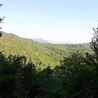 О семье, доме, здоровье