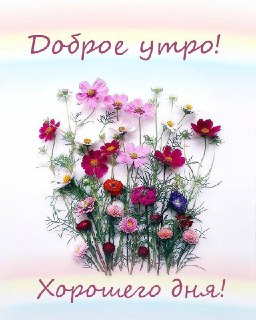 Поздравления и открытки