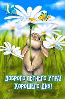 Поздравления на каждый день