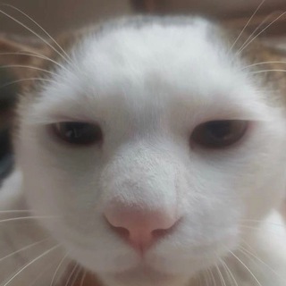 позитивная трясина