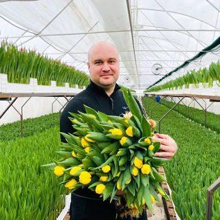 Цветовод: тюльпаны и рассада.