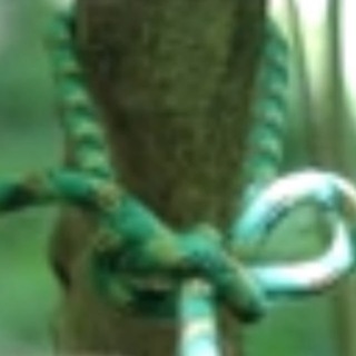 Бурятский узел