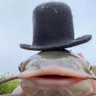 💀Логово стендапера🤯