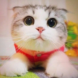 Заметки программиста