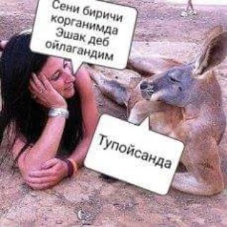 Приколы от Мира