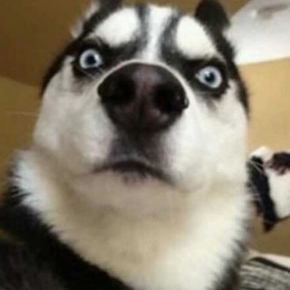 Прикольные видео и не только!