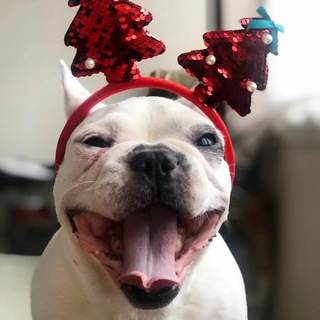 Прикольные Видосы