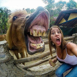 Прикольное Видео