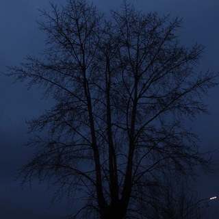 кому на руси жить хорошо