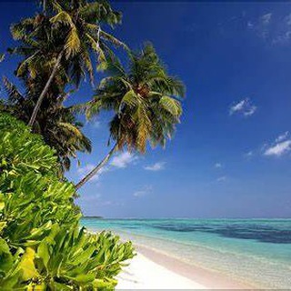 Природа вокруг!