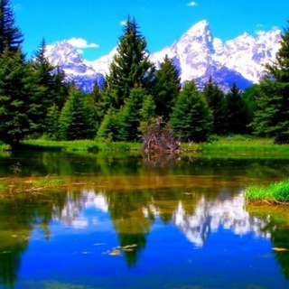 Природа сегодня