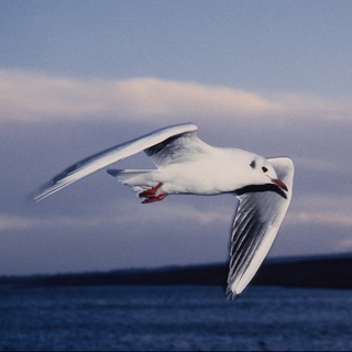 Природа во всей красе