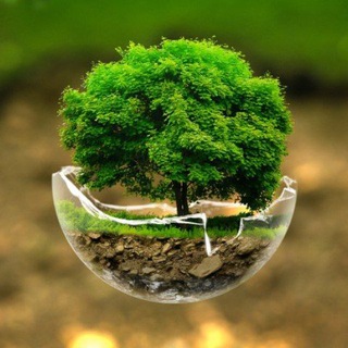 Природа вокруг нас!