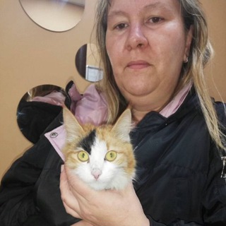 МОХНАТЫЕ ЛАПКИ ПРИЮТ