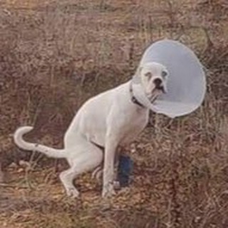 private meme channel