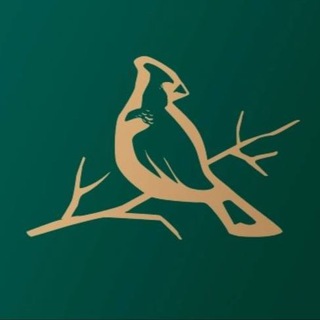 ТвояПривилегия