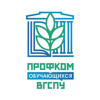 Профсоюзная организация обучающихся ВГСПУ