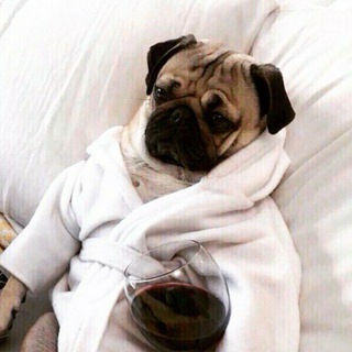 Программист && Programmer